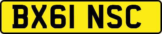 BX61NSC