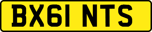 BX61NTS