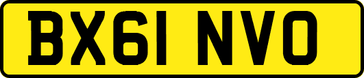 BX61NVO