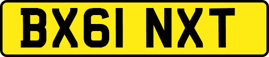 BX61NXT