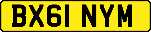 BX61NYM