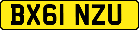 BX61NZU