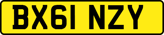 BX61NZY