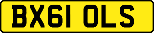 BX61OLS