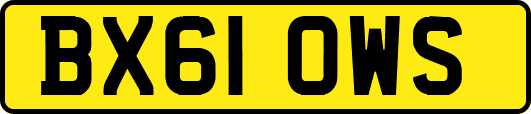 BX61OWS
