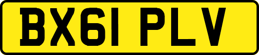 BX61PLV
