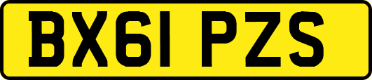 BX61PZS