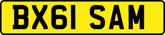 BX61SAM