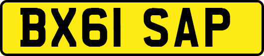 BX61SAP