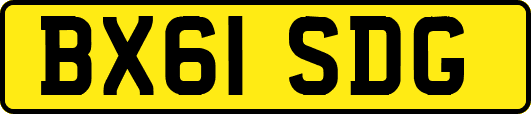 BX61SDG