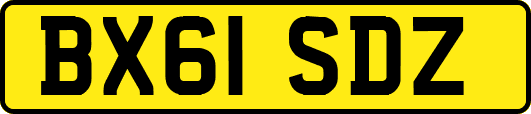 BX61SDZ