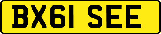 BX61SEE