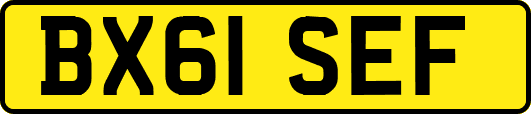 BX61SEF