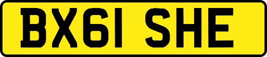 BX61SHE