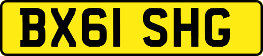 BX61SHG