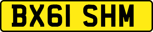 BX61SHM