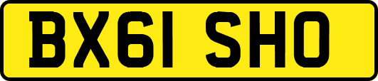 BX61SHO