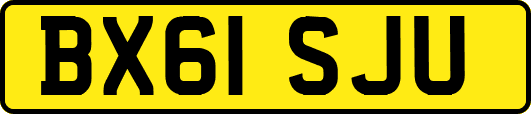 BX61SJU