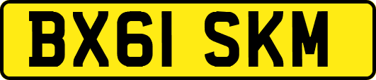 BX61SKM