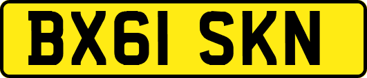 BX61SKN