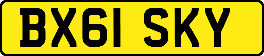 BX61SKY