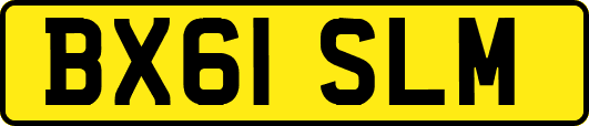 BX61SLM