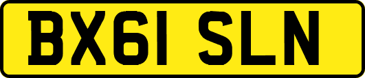 BX61SLN