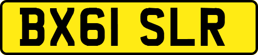 BX61SLR