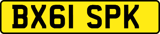 BX61SPK