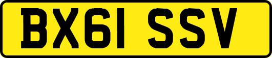 BX61SSV