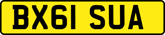 BX61SUA