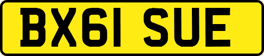 BX61SUE