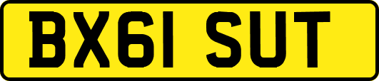 BX61SUT