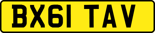 BX61TAV