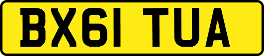 BX61TUA