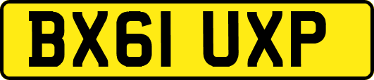 BX61UXP