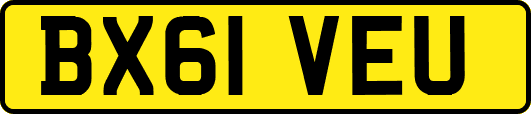 BX61VEU