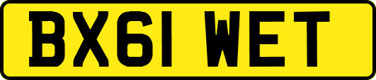 BX61WET