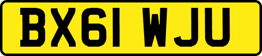 BX61WJU