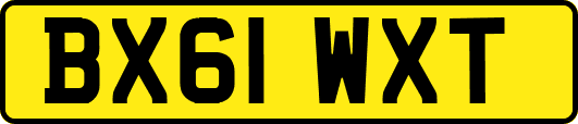 BX61WXT