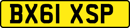 BX61XSP