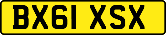 BX61XSX