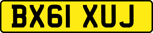 BX61XUJ