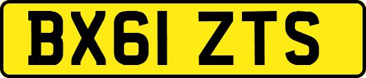 BX61ZTS