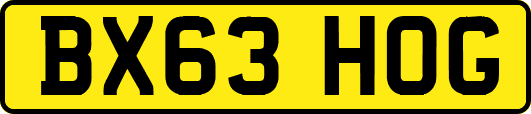 BX63HOG