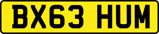 BX63HUM
