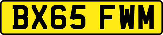 BX65FWM