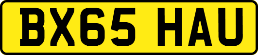 BX65HAU