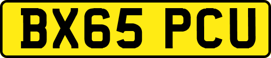 BX65PCU