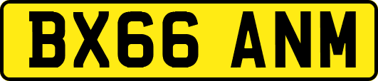 BX66ANM